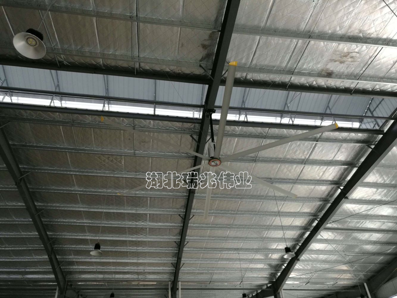 皮皮蝦我們走！眾里尋它千百度-高大廠房降溫通風找我家！