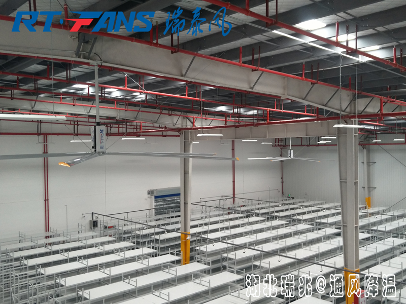 工業(yè)大風(fēng)扇具體的通風(fēng)降溫效果怎么樣，有什么作用呢